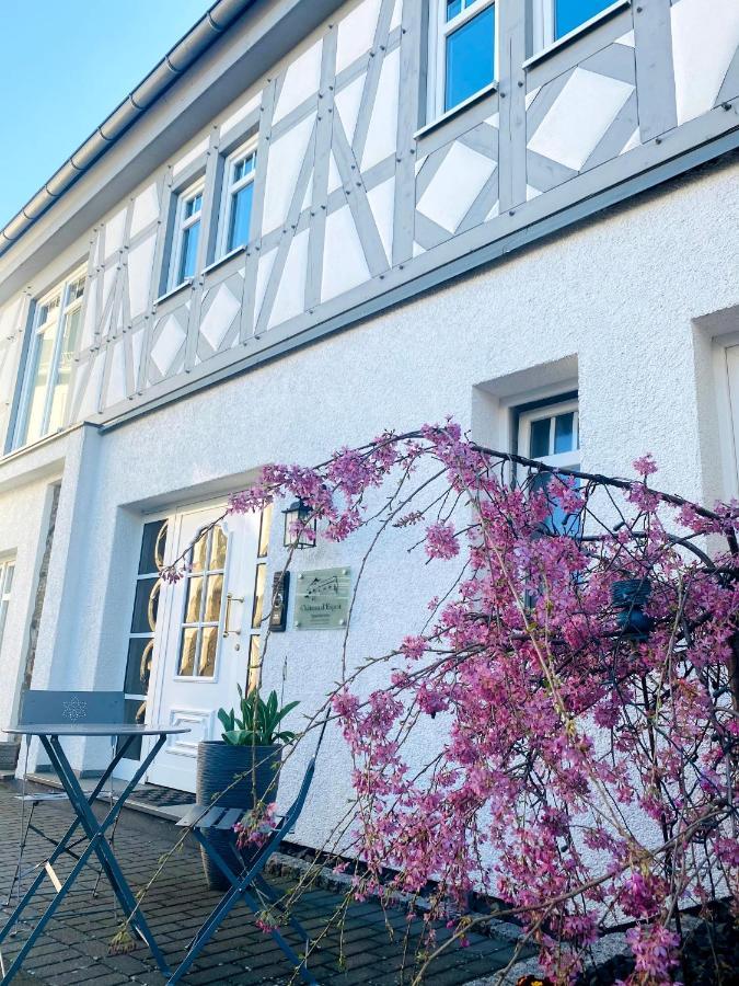 Apartments Im Chateau D'Esprit Höhr-Grenzhausen المظهر الخارجي الصورة